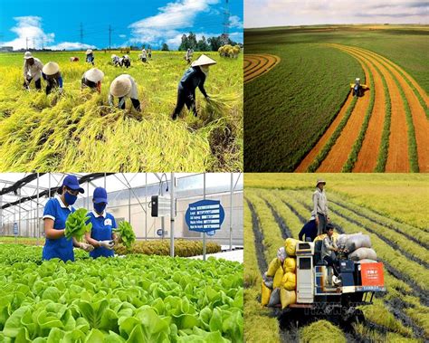 cơ cấu ngành nông nghiệp là gì